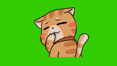Yeşil ekranda komik kedi animasyonu, duygu karakteri 4k video