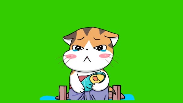 화면에 오리와 고양이 할로윈 애니메이션 캐릭터 비디오 — 비디오