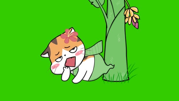 Pato Gato Fantasma Halloween Animación Pantalla Verde Emoción Personaje Video — Vídeos de Stock