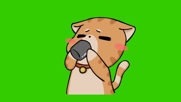 Divertido Gato Animación Verde Pantalla Emoción Personaje Video — Vídeo de stock