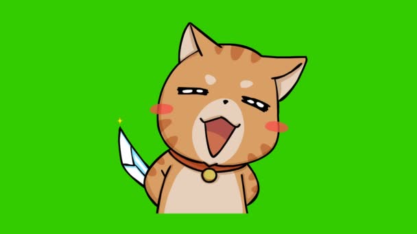 Divertido Gato Animación Verde Pantalla Emoción Personaje Video — Vídeos de Stock