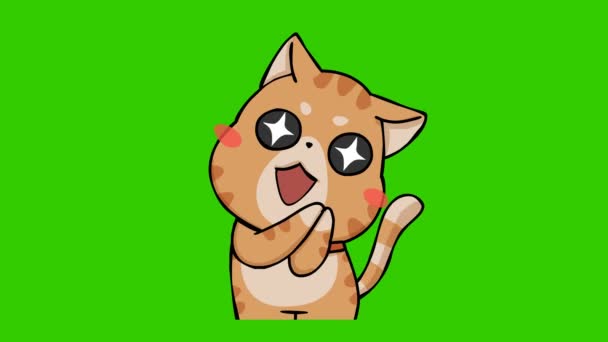 Animație Amuzantă Pisică Ecranul Verde Personaj Emoțional Video — Videoclip de stoc