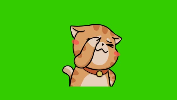 Смішна Анімація Кота Зеленому Екрані Емоційний Персонаж Відео — стокове відео