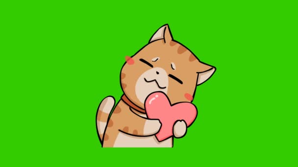 緑の画面上の面白い猫のアニメーション 感情キャラクター4Kビデオ — ストック動画