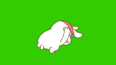 Yeşil ekranda tavşan ninja animasyonu, duygu karakteri 4k video
