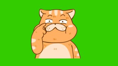 Yeşil ekranda komik kedi animasyonu, duygu karakteri 4k video