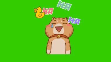 Yeşil ekranda komik kedi animasyonu, duygu karakteri 4k video