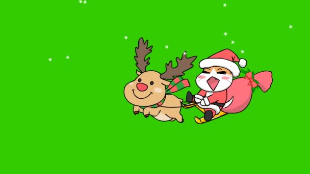 Gatto Buon Natale Animazione Sullo Schermo Verde Personaggio Emozione Video — Video Stock