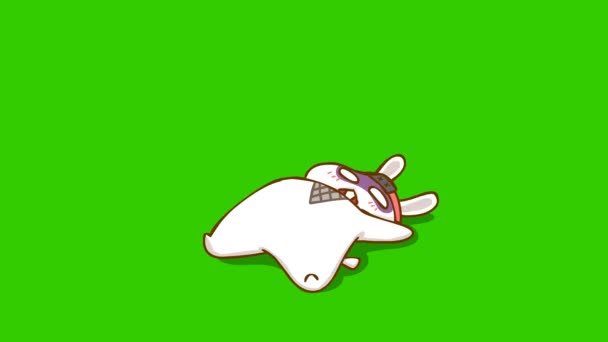 Анимация Ниндзя Кролика Зеленом Экране Эмоциональный Персонаж Видео — стоковое видео