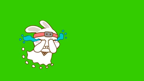 緑のスクリーン上のウサギ忍者アニメーション 感情キャラクター4Kビデオ — ストック動画
