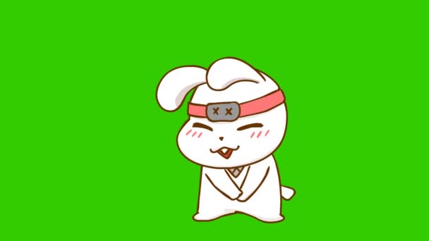 Yeşil Ekranda Tavşan Ninja Animasyonu Duygu Karakteri Video — Stok video