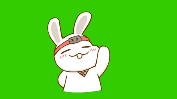Animação Ninja Coelho Tela Verde Emoção Personagem Vídeo — Vídeo de Stock