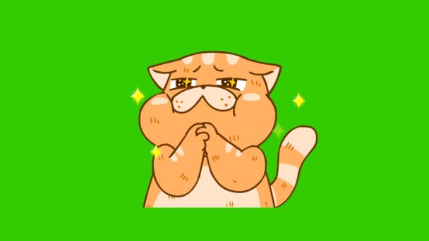 Animazione Divertente Gatto Sullo Schermo Verde Personaggio Emozione Video — Video Stock