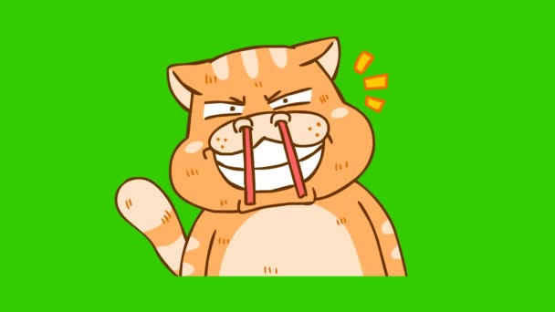 Vicces Macska Animáció Zöld Képernyőn Érzelem Karakter Videó — Stock videók