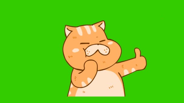 Śmieszne Animacja Kot Zielonym Ekranie Emocje Postać Wideo — Wideo stockowe