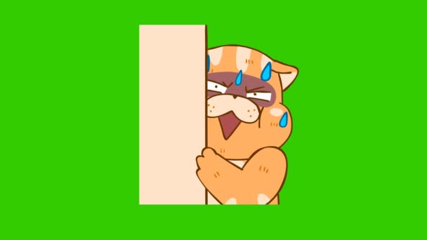 Divertido Gato Animación Verde Pantalla Emoción Personaje Video — Vídeo de stock
