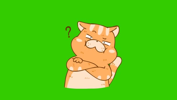 Смешная Анимация Кота Зеленом Экране Эмоциональный Персонаж Видео — стоковое видео