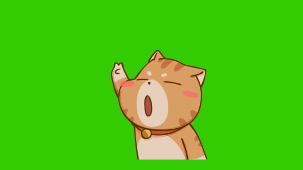 Αστείο Animation Γάτα Στην Πράσινη Οθόνη Συναίσθημα Χαρακτήρα Βίντεο — Αρχείο Βίντεο