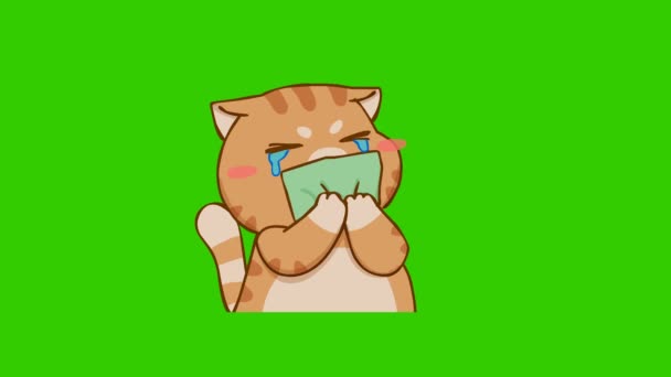 Yeşil Ekranda Komik Kedi Animasyonu Duygu Karakteri Video — Stok video