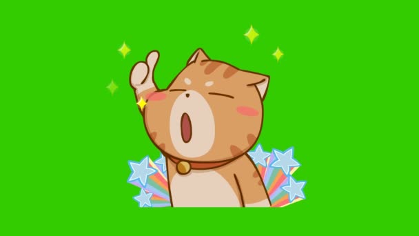 Yeşil Ekranda Komik Kedi Animasyonu Duygu Karakteri Video — Stok video