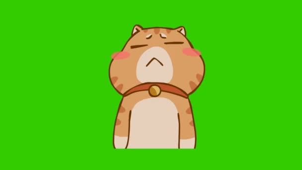 Lustige Katzenanimation Auf Grünem Bildschirm Emotionaler Charakter Video — Stockvideo
