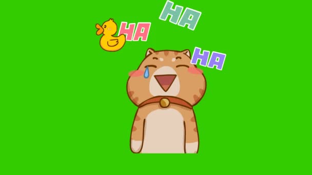 Animasi Kucing Lucu Layar Hijau Karakter Emosi Video — Stok Video