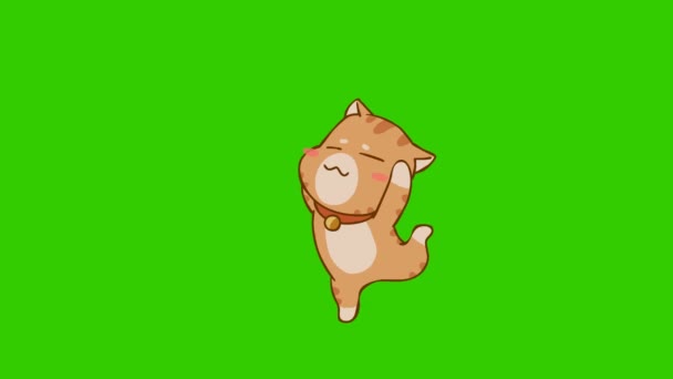 Śmieszne Animacja Kot Zielonym Ekranie Emocje Postać Wideo — Wideo stockowe