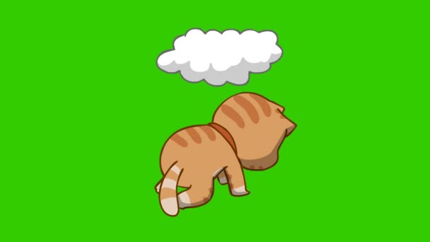 Animazione Divertente Gatto Sullo Schermo Verde Personaggio Emozione Video — Video Stock