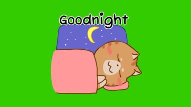 Yeşil ekranda komik kedi animasyonu, duygu karakteri 4k video