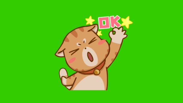 緑の画面上の面白い猫のアニメーション 感情キャラクター4Kビデオ — ストック動画