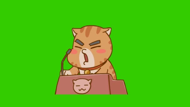 Rolig Katt Animation Grön Skärm Känslor Karaktär Video — Stockvideo