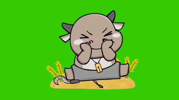 Buffalo Cute Animation Green Screen Emotion Character Video — Stock Video
