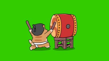 Yeşil ekranda Sumo kedi animasyonu, duygu karakteri 4k video