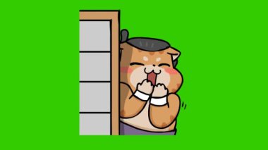 Yeşil ekranda Sumo kedi animasyonu, duygu karakteri 4k video