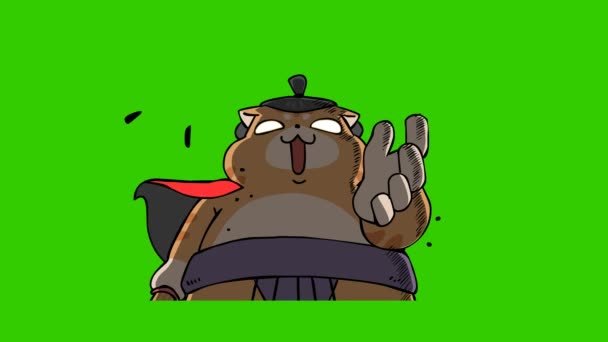 Sumo Gato Animación Pantalla Verde Emoción Personaje Video — Vídeos de Stock