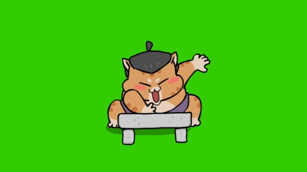 Animație Sumară Pentru Pisici Ecranul Verde Personajul Emoțional Video — Videoclip de stoc