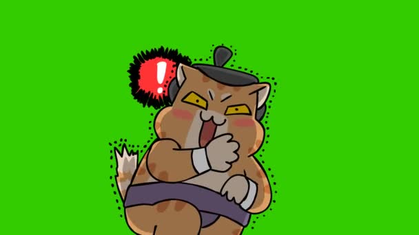 Sumo Gato Animación Pantalla Verde Emoción Personaje Video — Vídeo de stock