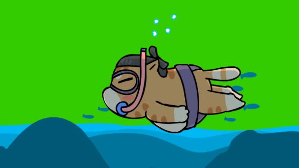 Sumo Katzen Animation Auf Grünem Bildschirm Emotionen Charakter Video — Stockvideo