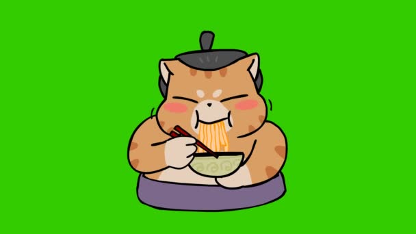 Sumo Kočka Animace Zelené Obrazovce Emocionální Charakter Video — Stock video