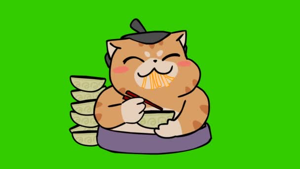 Sumo Γάτα Animation Στην Πράσινη Οθόνη Συναίσθημα Χαρακτήρα Βίντεο — Αρχείο Βίντεο