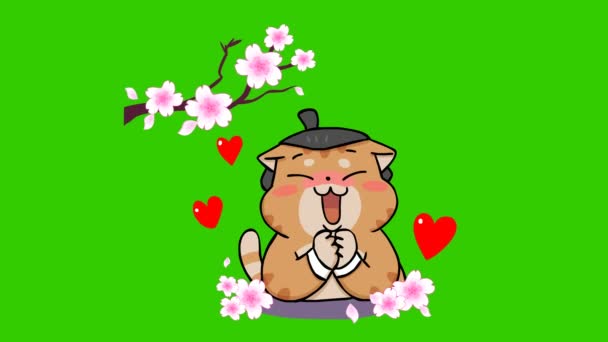 Yeşil Ekranda Sumo Kedi Animasyonu Duygu Karakteri Video — Stok video