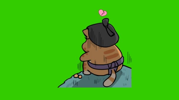 绿色屏幕上的相扑猫动画 情感人物4K视频 — 图库视频影像