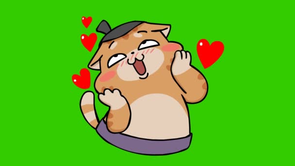 Sumo Kočka Animace Zelené Obrazovce Emocionální Charakter Video — Stock video