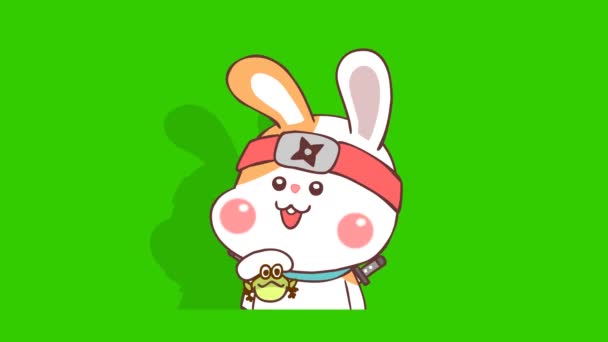 Rabbit Ninja Animation Green Screen Emotion Character Video — Stock Video
