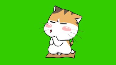 Yeşil ekranda kedi animasyonu, duygu karakteri 4k video
