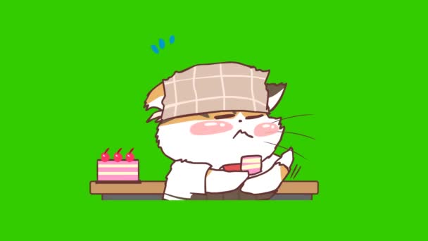 Cat Kavárna Animace Zelené Obrazovce Emocionální Charakter Video — Stock video