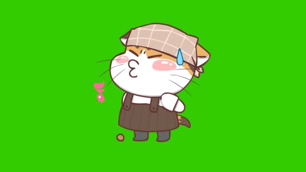 Cat Café Animation Auf Grünem Bildschirm Emotionen Charakter Video — Stockvideo