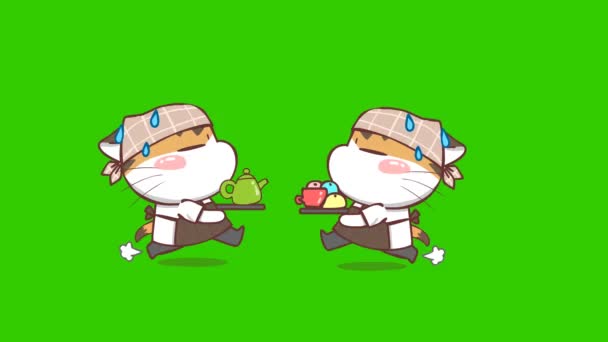 Animación Cafetería Cat Pantalla Verde Personaje Emoción Video — Vídeos de Stock