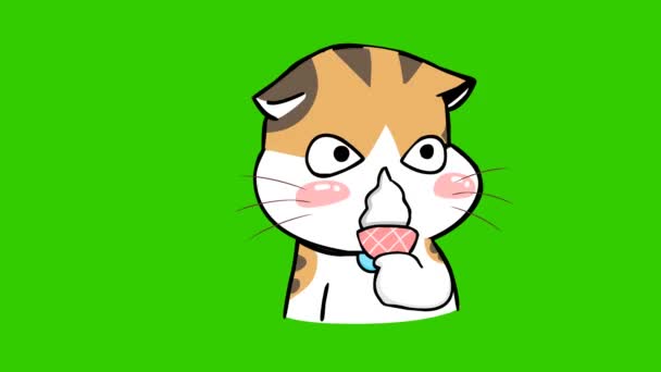 Cat Cute Animation Green Screen Emotion Character Video — Stock Video