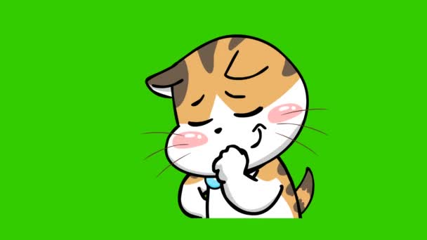 Animație Drăguță Pisică Ecran Verde Personaj Emoțional Video — Videoclip de stoc